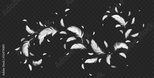 Flying white feathers png isolated on transparent background. Realistic vector illustration of abstract swirl of light fluffy plumage in air. Symbol of lightness, angels flight trail, hope and peace