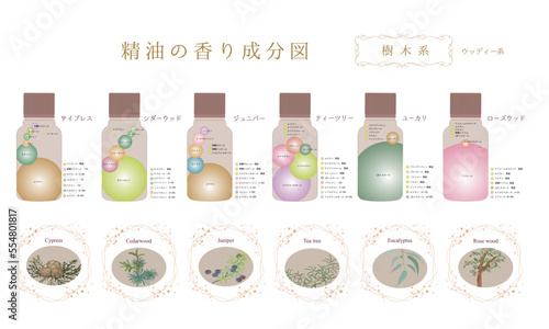 樹木系の成分表・成分図・ウッディー系の香り・サイプレス・ティーツリー・ユーカリ・シダーウッド