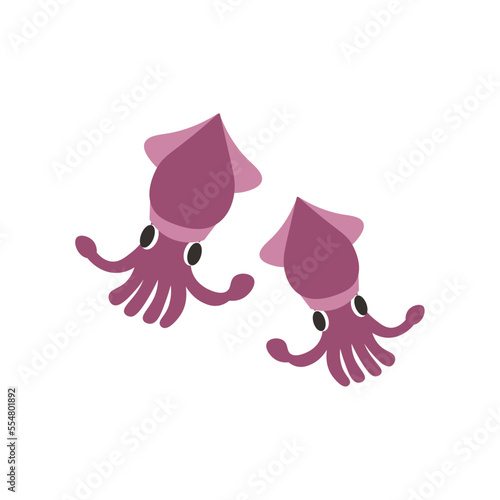 ホタルイカ　シンプル