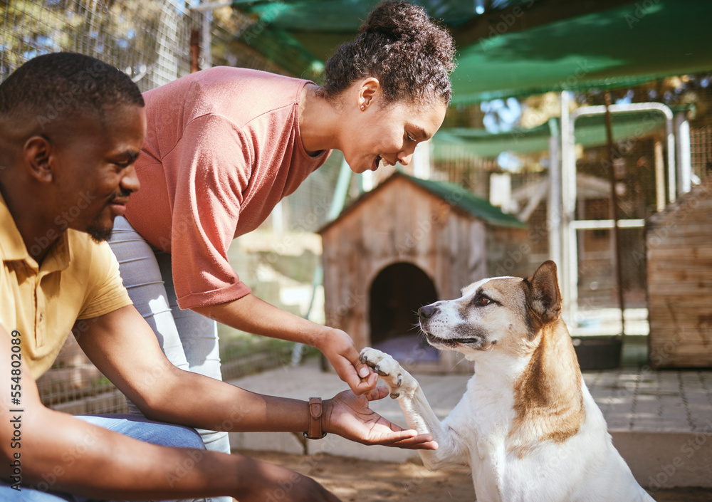 Care sales animal shelter