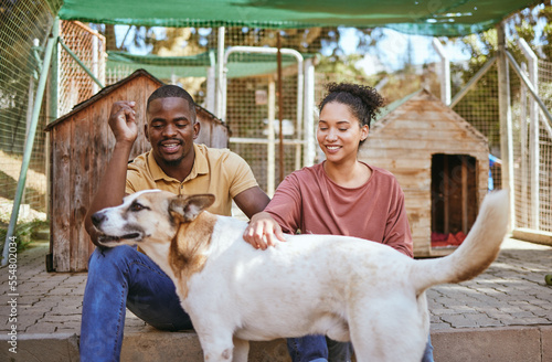 Animal shelter, adoption and dog with a black couple petting a canine at a rescue center as volunteer workers. Love, charity and community with a man and woman at a kennel to adopt or foster a pet