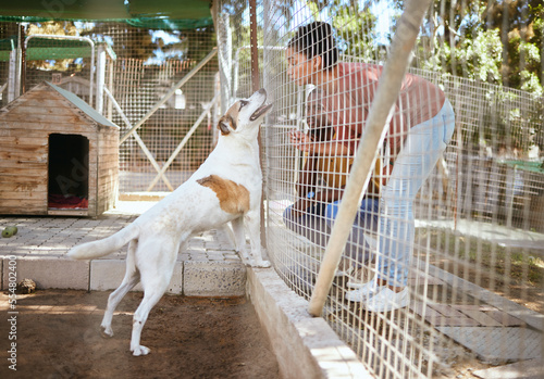 Foto Fence, dog and adoption at animal shelter with black couple playing with animal