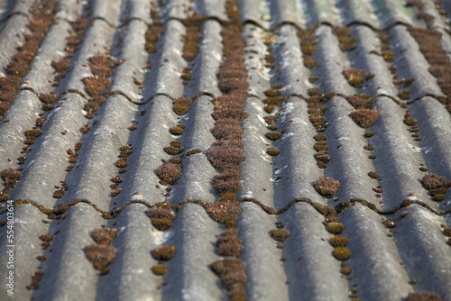 An old asbestos roofing roof covered with moss. Slate sheets on an abandoned weathered roof.