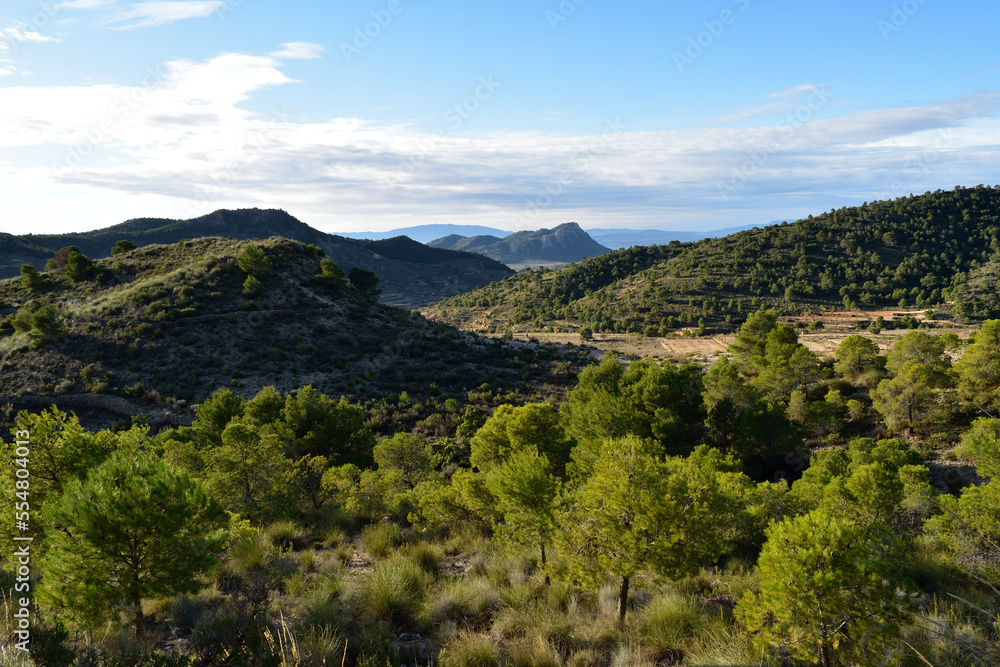 Mountain scene in Spain with pine tree forest