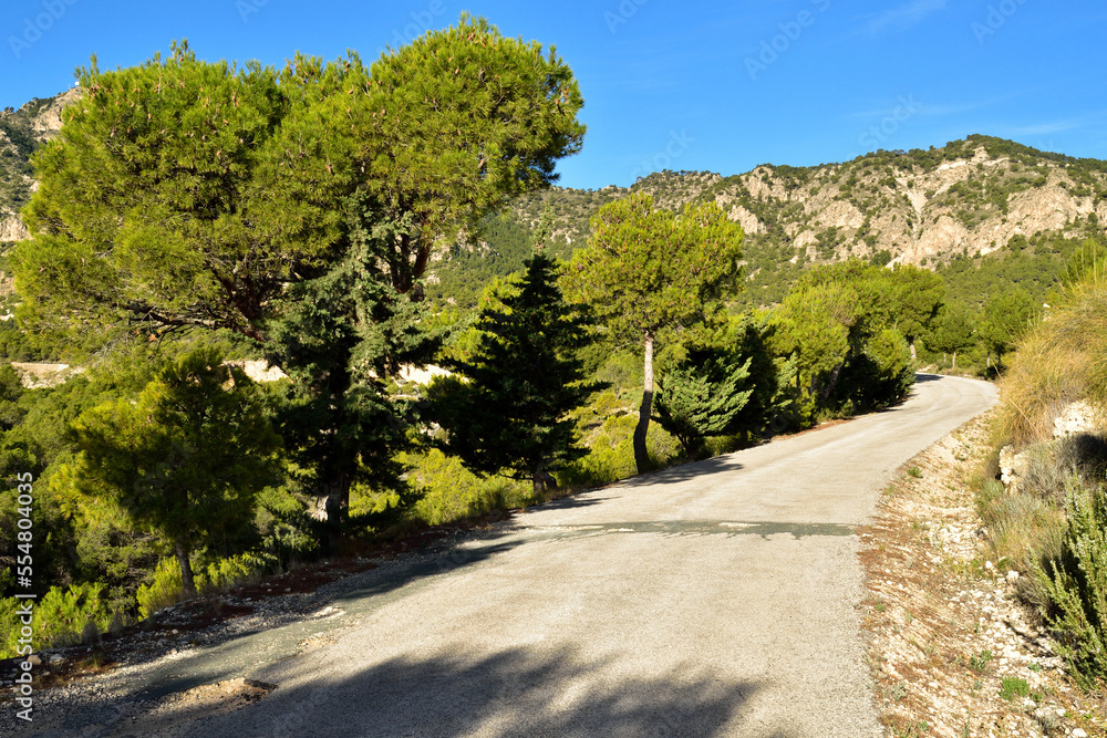 A lonely winding road curving through the Spanish mountains