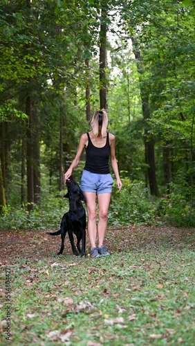 Vertical video of a young female dog trainer obedience training her purebred black labrador retriever