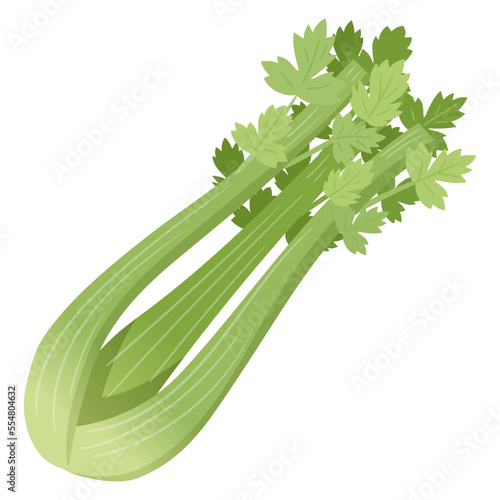 Cartoon celery bunch. Farm fresh vegetable, market organic natural eco food, dieting celery greens flat vector illustration isolated on white background