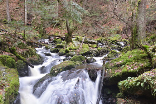 A beautiful waterfall in Ravenna Gorge  Breitnau  Black Forest  Germany