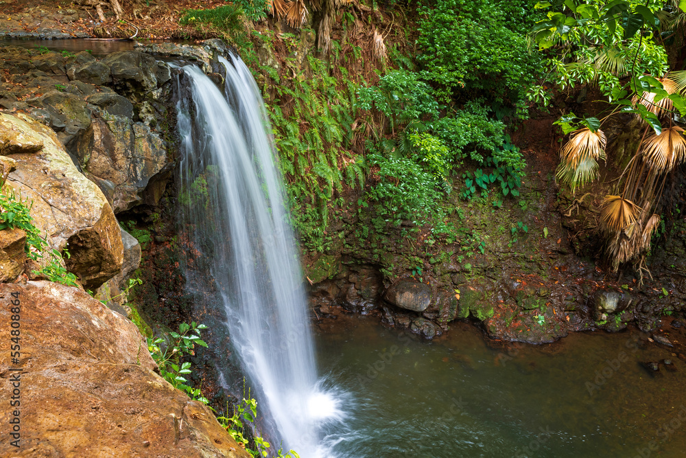 Naklejka premium KlaCa waterfall is the hidden gem in southern Mauritius. Close to souillac and Gris Gris beach. splendid clear water and beautiful calm green area.