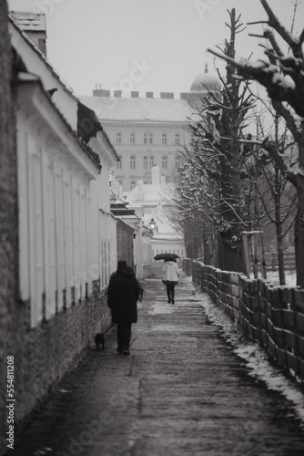 Photography Winter Vienna at Augarten