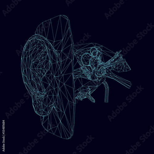 Wireframe of a human ear with the internal structure of the hearing organ isolated on a dark background. Perspective view. 3D. Vector illustration.