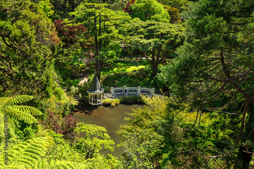 Wellington botanic garden
