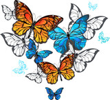 Morpho and Monarchs butterflies