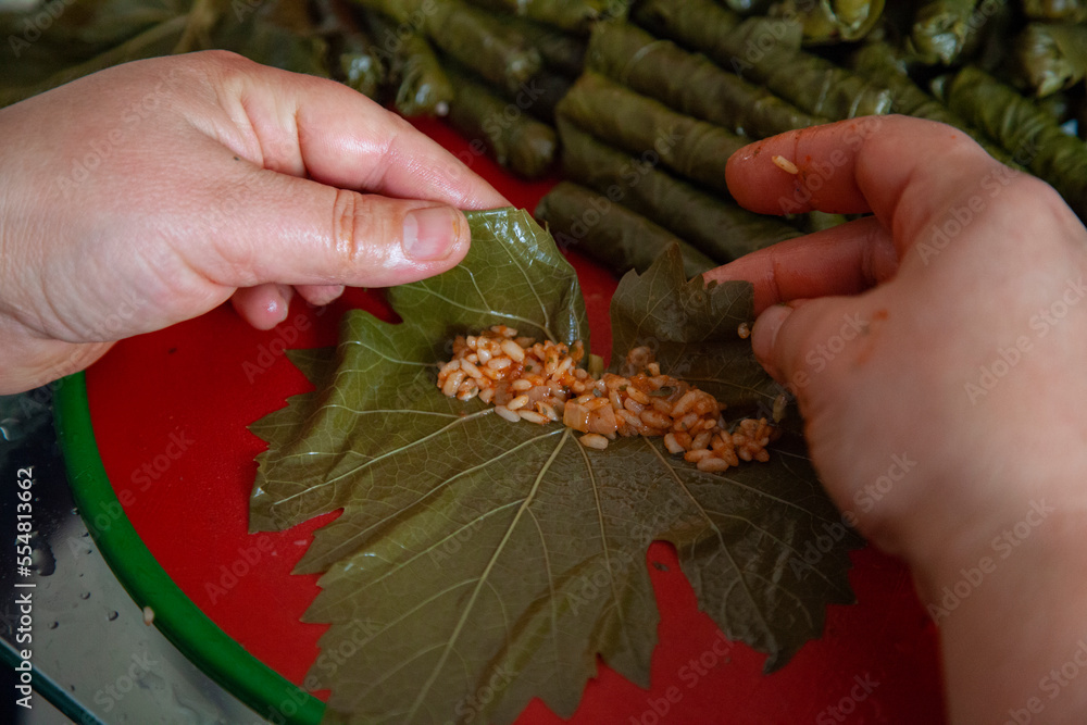 Stuffed Grape Leaves. Preparation of Dolma from grape leaves. Traditional Turkish meals are made