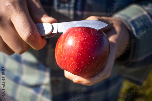 Multitool Pocket Knife Blade Cutting Fruit