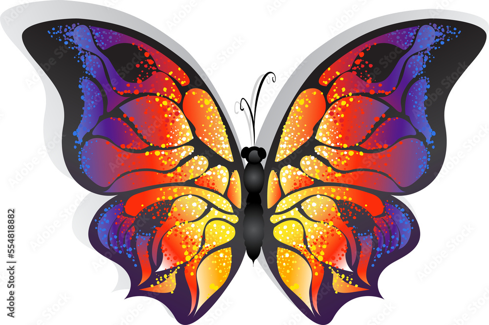 bright butterfly bright butterfly