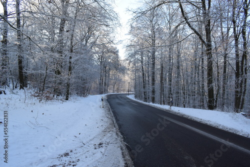 Strasse durch den eisigen Winterwald © Markus Volk