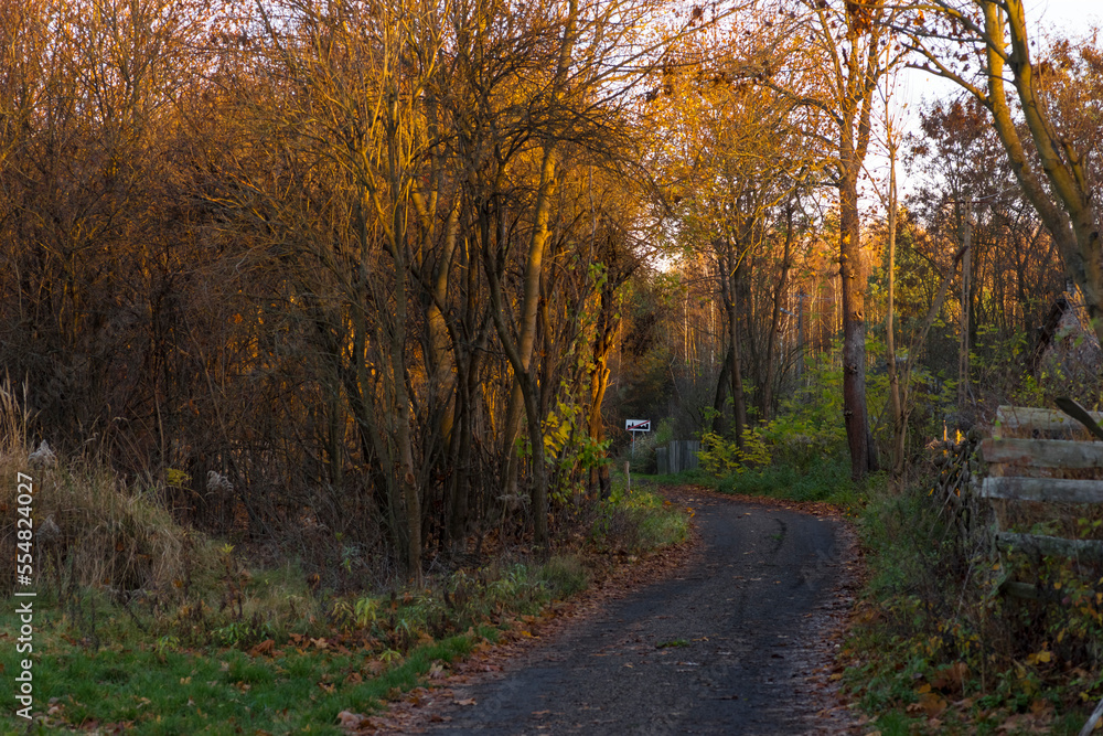 Jesienny las oświetlony zachodzącym słońcem . Droga szutrowa z tablicą z przekreślonym piktogramem miasta , oznaczająca 