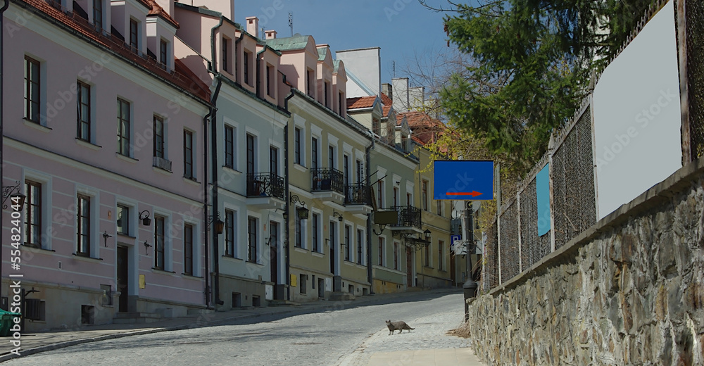 Stare miasto w Sandomierzu . Średniowieczne w wyrazie kamieniczki starego miasta , brukowana droga i podniszczony murek . Nieco wystraszony kot na drodze .