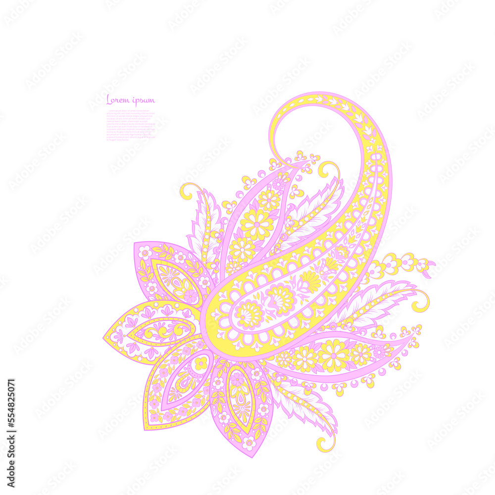 Floral Paisley vector pattern. Damask Isolated ornament