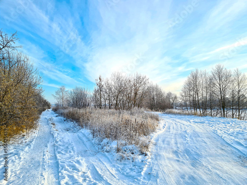 Canvas Print Winter landscape: two roads in the snow against the blue sky