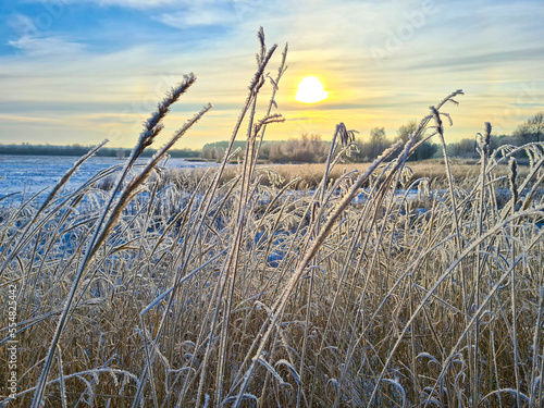 Photography Winter landscape: grass in the snow against a beautiful sky