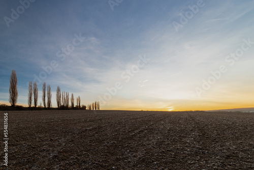 A spectacular sunrise with sunbeams over the rolling hills in an Italian landscape with the typical Tuscan Poplar trees. This landscape can also be found in the Netherlands