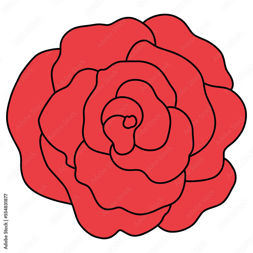 Rose hand drawn illustration Rose hand drawn illustration
