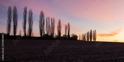 A spectacular sunrise with sunbeams over the rolling hills in an Italian landscape with the typical Tuscan Poplar trees. This landscape can also be found in the Netherlands