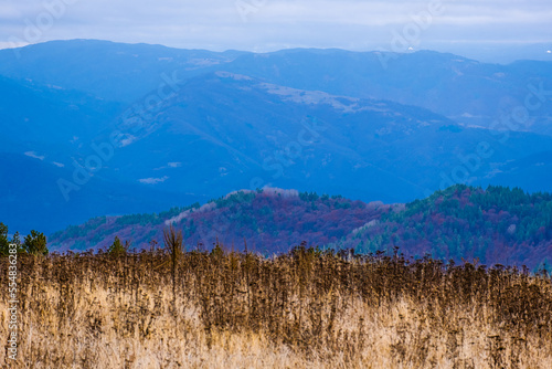 Amazing view of Magnificent autumn carpet in The Rhodope mountains