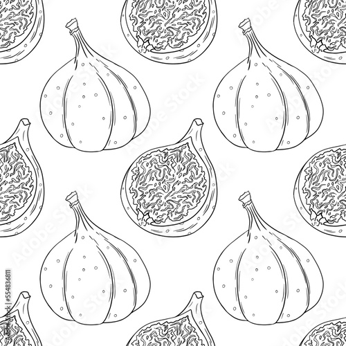 Vector figs pattern. Fresh fig seamless pattern isolated on white background. 