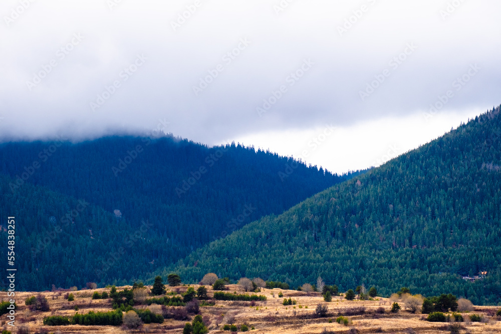 Amazing view of Magnificent autumn carpet in The Rhodope mountains