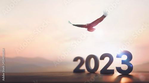 2023 New Year Bright rising sun and sunrise and an eagle flying high in the sky with its wings wide open
 photo