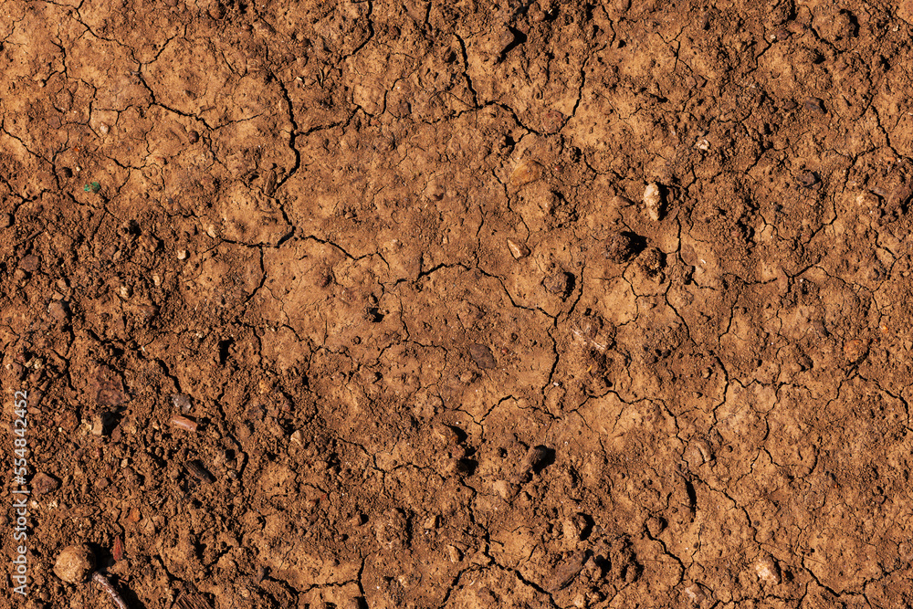 Dry brown earth surface as background