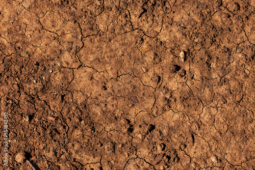 Dry brown earth surface as background
