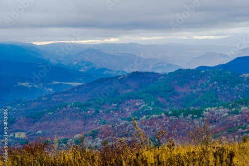 Amazing view of Magnificent autumn carpet in The Rhodope mountains
