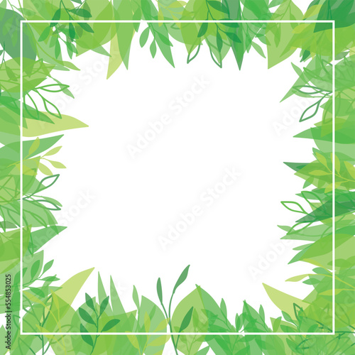 green leaves frame