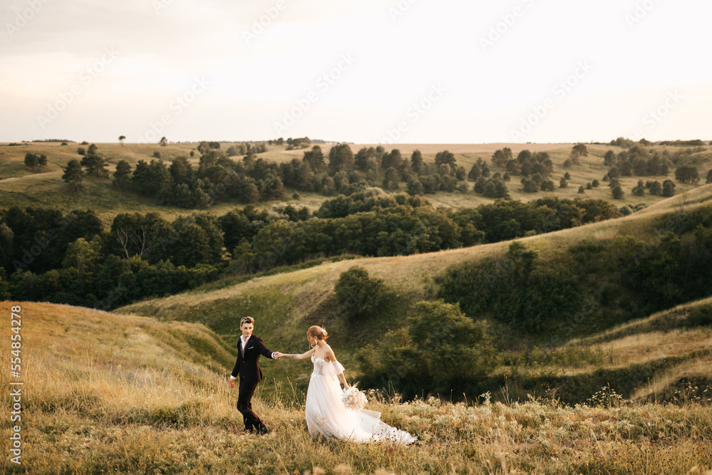 Naklejka premium Newlyweds walk in nature against the backdrop of beautiful hills
