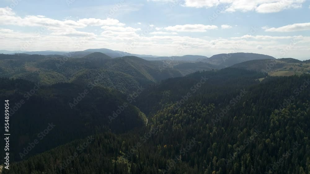 Golden or yellow leaves on a Fraxinus excelsior 'Jaspidea' (Golden Ash) tree. Clear blue sky in the background. Upwards time lapse shot on a dolly.