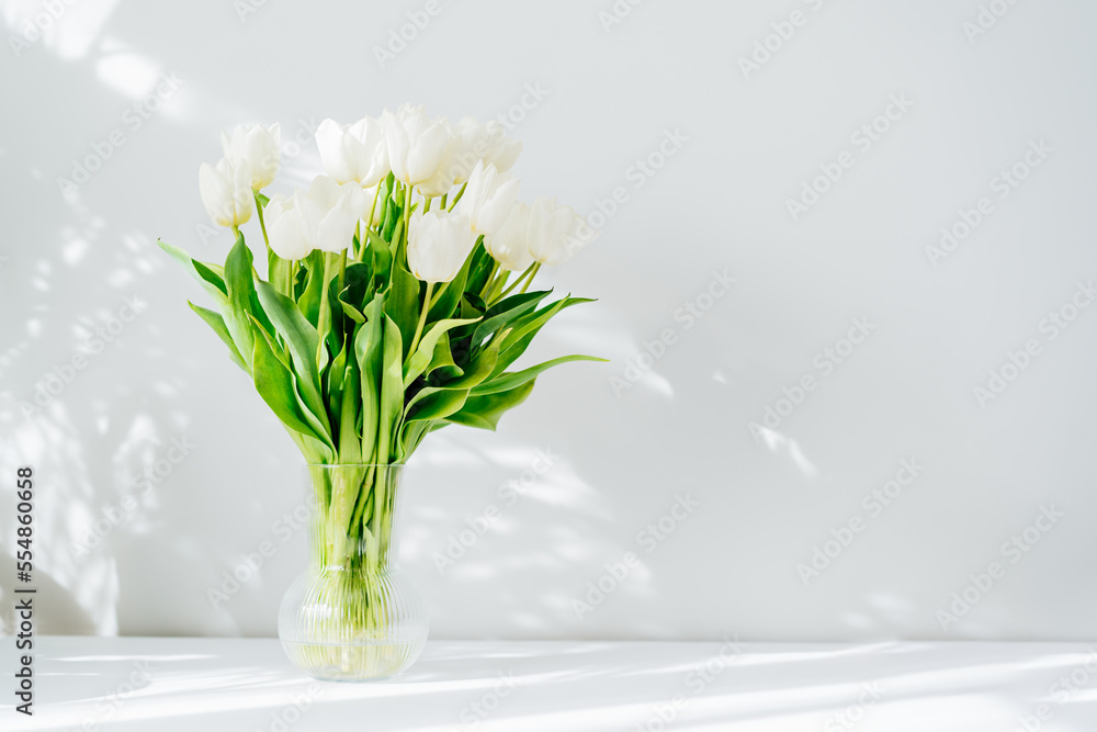 Spring bouquet of white tulip flowers in vase stand on white table near light grey wall with highlights and shadows. Gift for holiday, birthday, 8 March, Mother's Day, Woman day. Selective focus