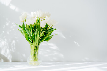 Spring bouquet of white tulip flowers in vase stand on white table near light grey wall with highlights and shadows. Gift for holiday, birthday, 8 March, Mother's Day, Woman day. Selective focus