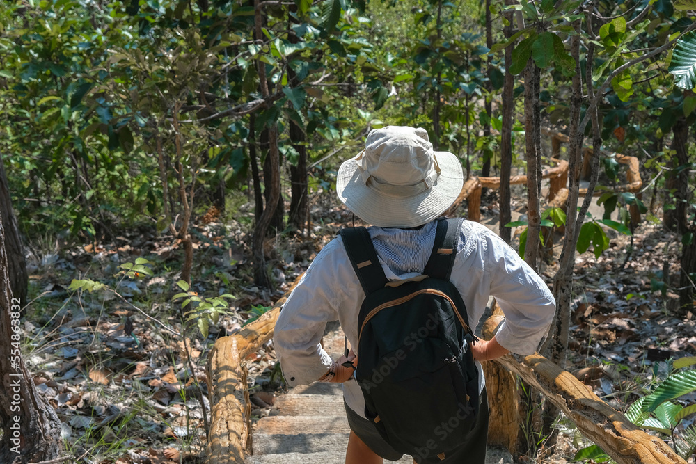 Rear view of backpack female geologist exploring nature trail in forest and analyzing plants. Female environmental scientist exploring plants in the rainforest. Environmental and ecology research.