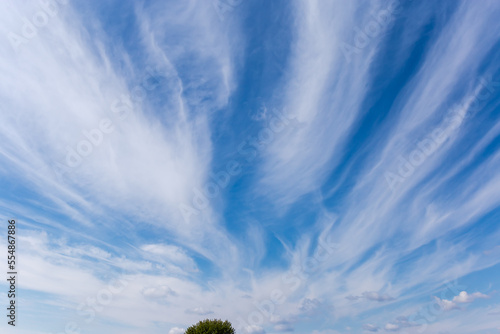 Fototapeta Naklejka Na Ścianę i Meble -  Patch of sky with cirrus clouds above the tree top