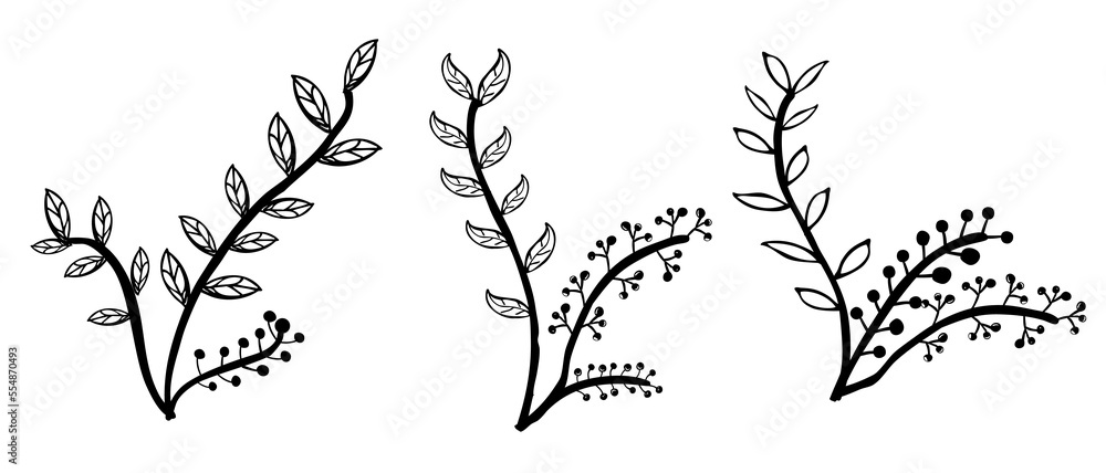 Obraz premium simple vector set 3 hand draw sketch flower and leaf border