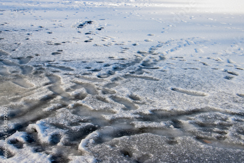 Footprints on a frozen lake with snow surface and thin ice