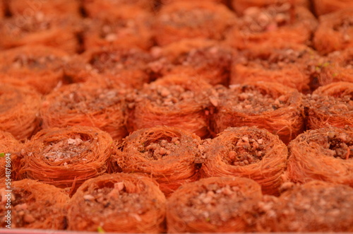 Baklava with almonds, walnuts, peanuts. Traditional oriental sweets made from syrup and honey. photo