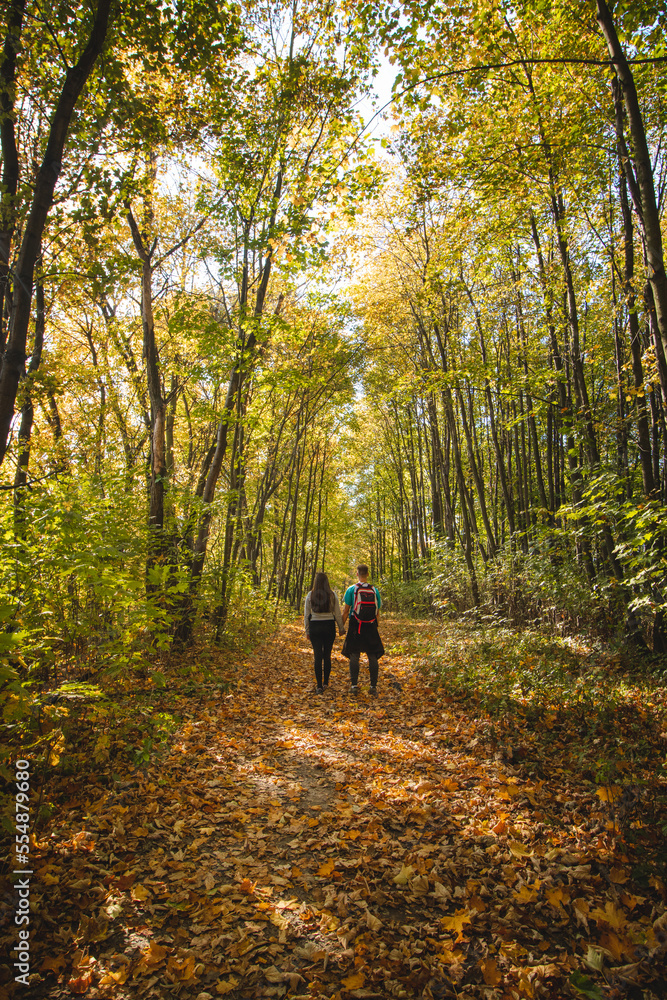 Couple love hiking through the beautiful deciduous forest with autumn leaves. A trip of two people in love in autumn season Couple love hiking through the beautiful deciduous forest with autumn leaves. A trip of two people in love in autumn season