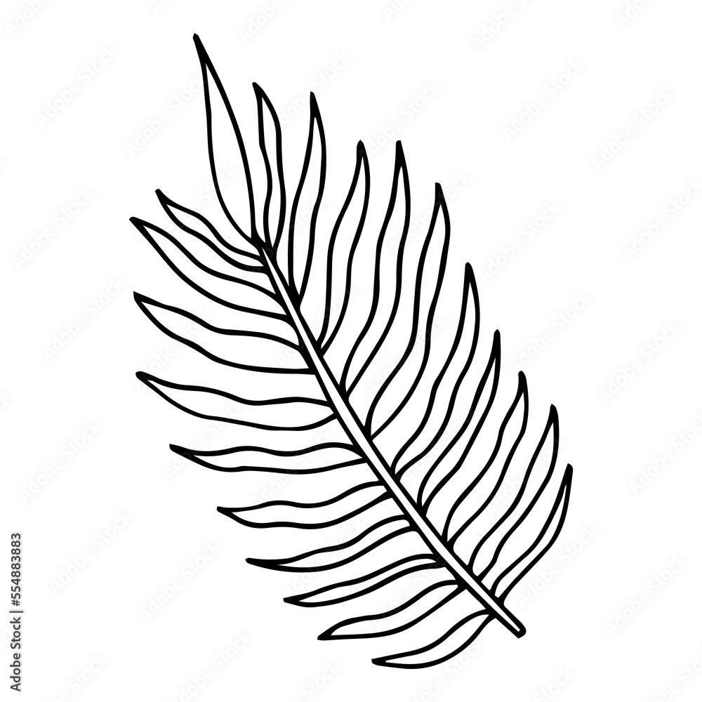 Tropical Leaf on White Background for your Design . Isolated Vector Elements