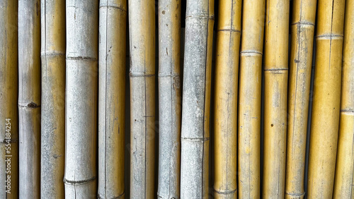 Texture of yellowish bamboo wall background