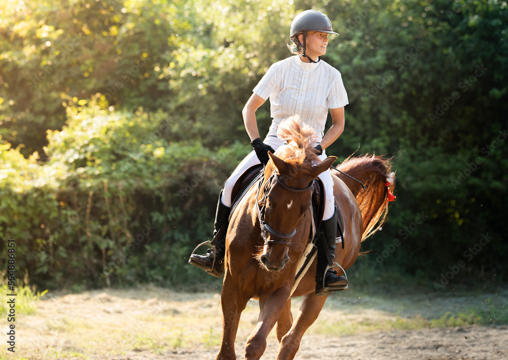 Female athlete rides a horse on open manege Female athlete rides a horse on open manege